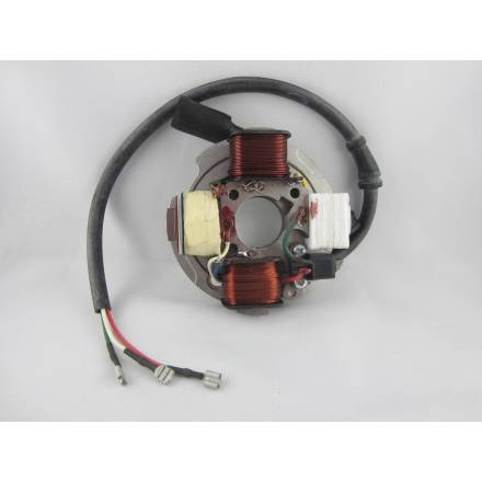 Statore supporto bobine per VESPA PK 50 V5X2T dal 1982 al 1984